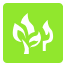 林